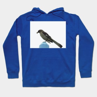 To feed a mockingbird Hoodie